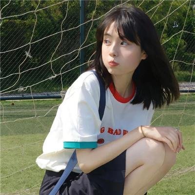 树袋熊